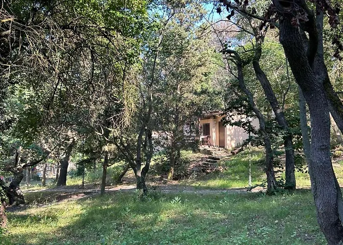 Elata * Кранево