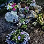 Elata *