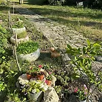 Elata Villa