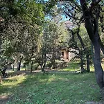 Elata * Кранево